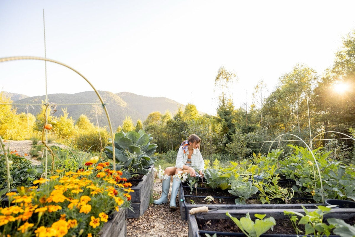 12 Sustainable Practices You Can Do at Home