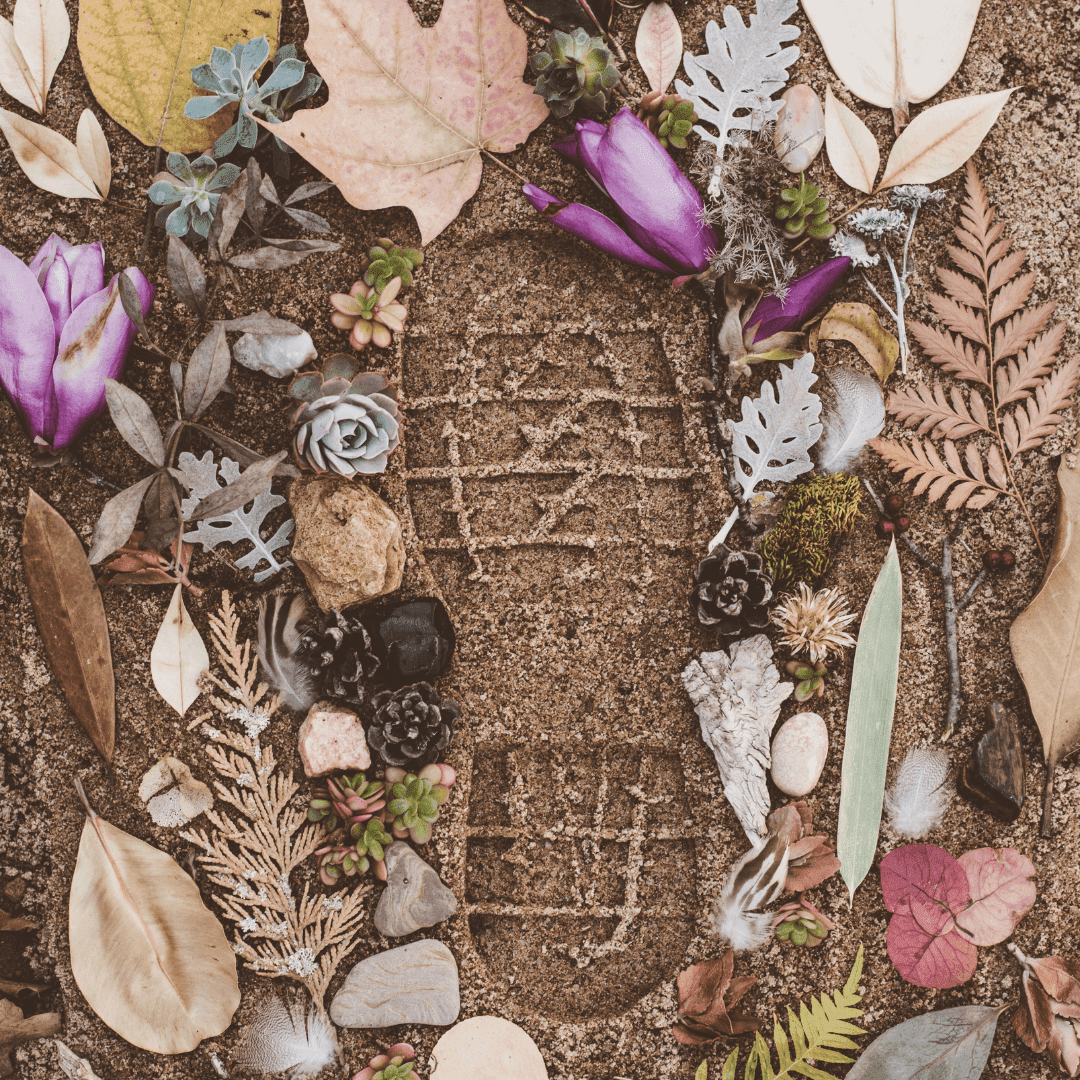 5 Easy Ways to Reduce Your Environmental Footprint