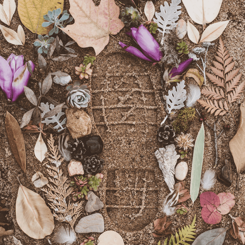 5 Easy Ways to Reduce Your Environmental Footprint