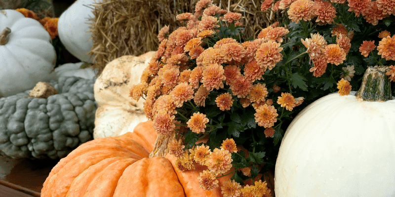 7 Cozy Activities To Embrace This Fall