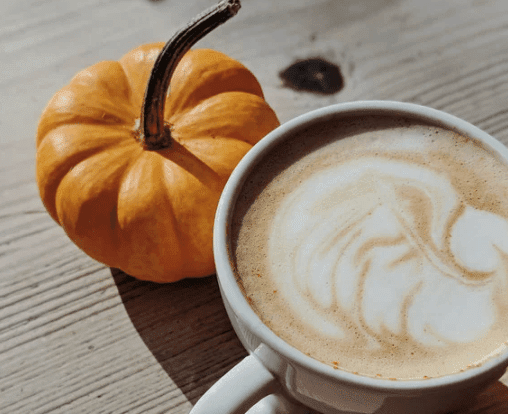 Pumpkin Spice Recipes to Celebrate Our New Scent