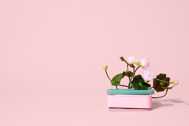 Travel Hair Care That Skips the Spills, Plastic & TSA Hassle