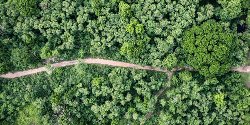 What Does Carbon Neutral Shipping Actually Mean?