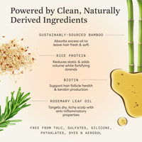 
            Dry Shampoo for Volume & Strength