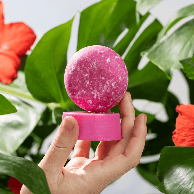Hibiscus Petal Shampoo and Conditioner For Thickness & Volume