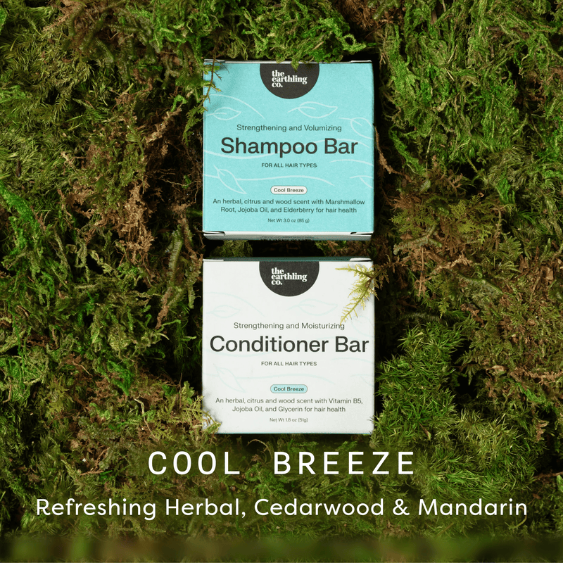 Shampoo and Conditioner for Thickness & Volume