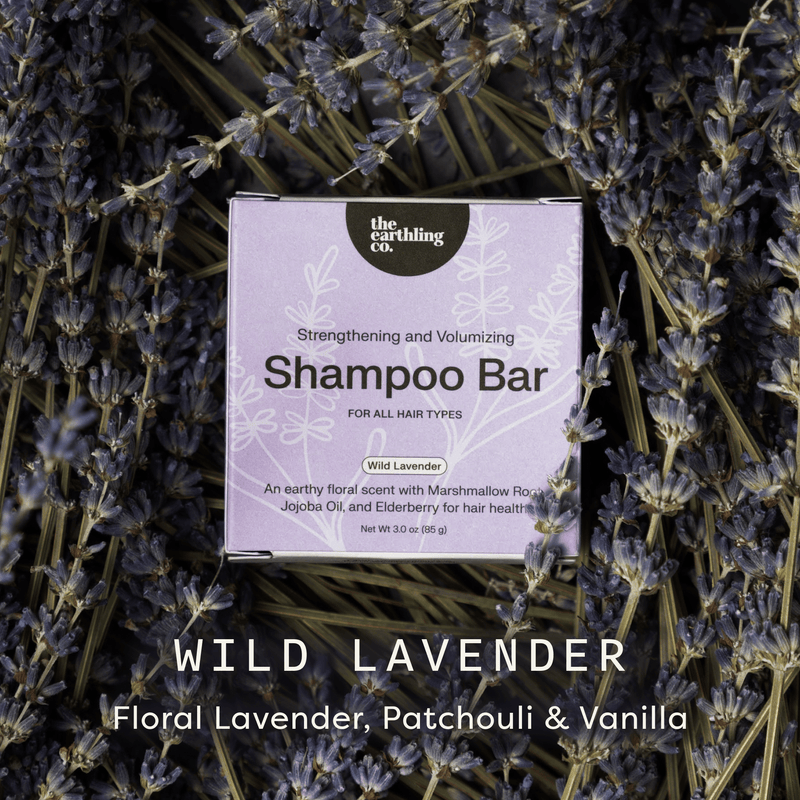 Wild Lavender